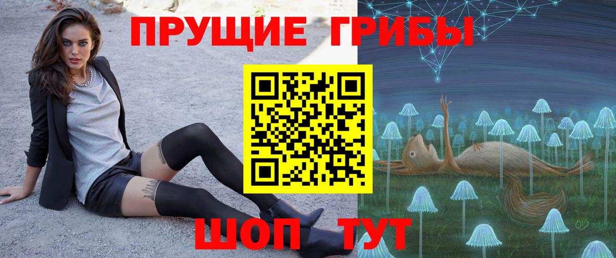 APVP Михайловка