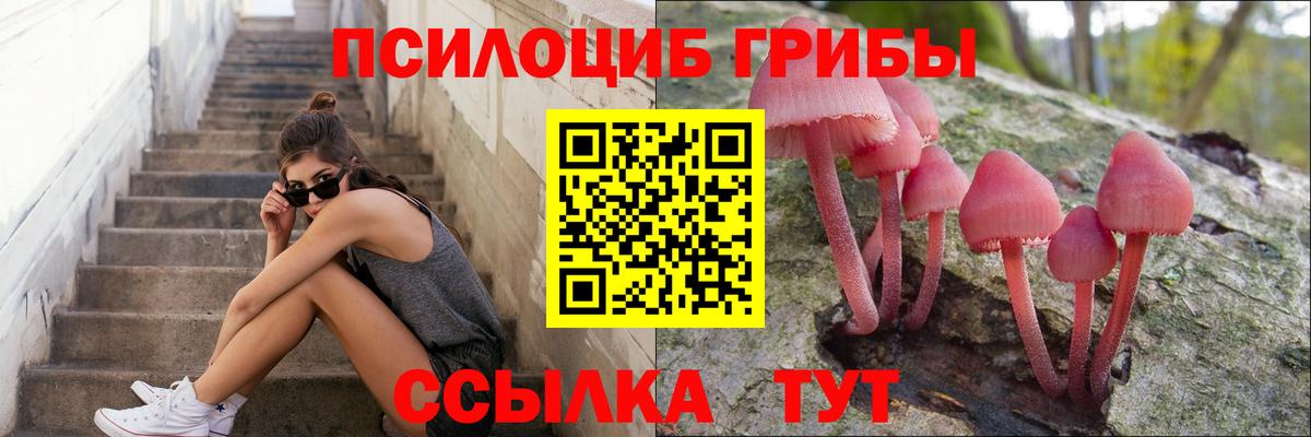 Галлюциногенные грибы мицелий  Вход с VPN  Михайловка 