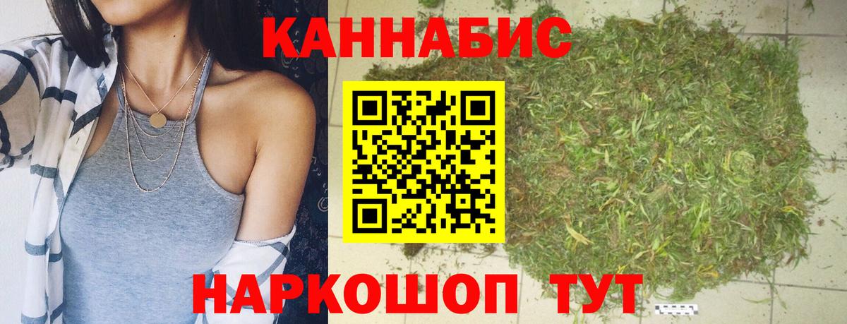 Конопля сатива Михайловка